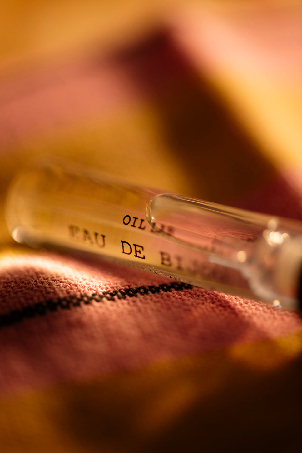 COLLAB |  Oil Lab & Jules Bean